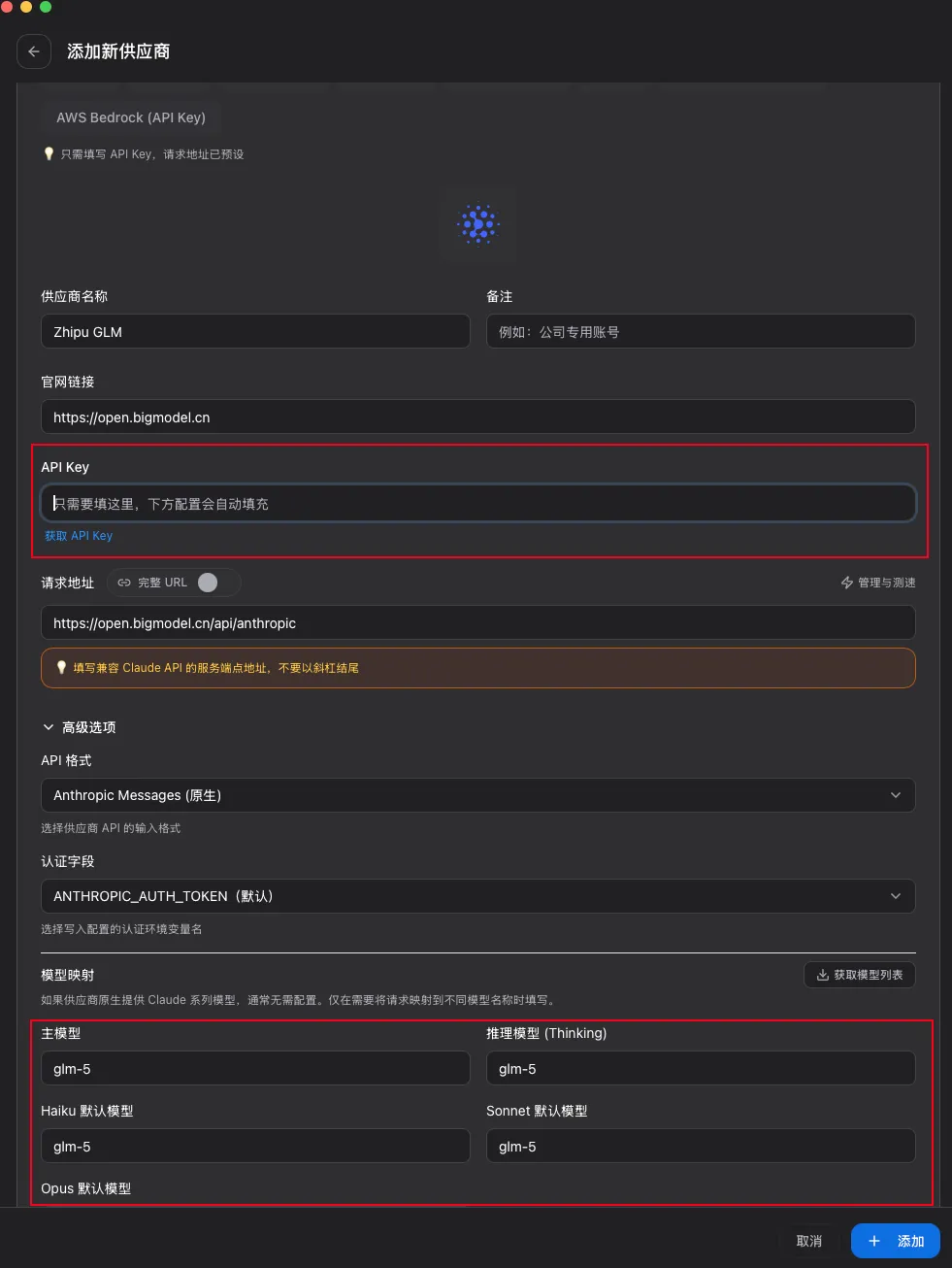 填 API Key